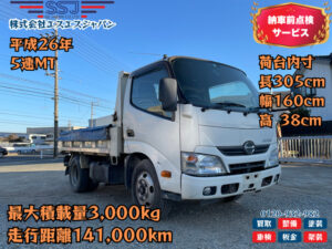 【特価!!夏のセール!!】長305cm×幅160cm/デュトロダンプ